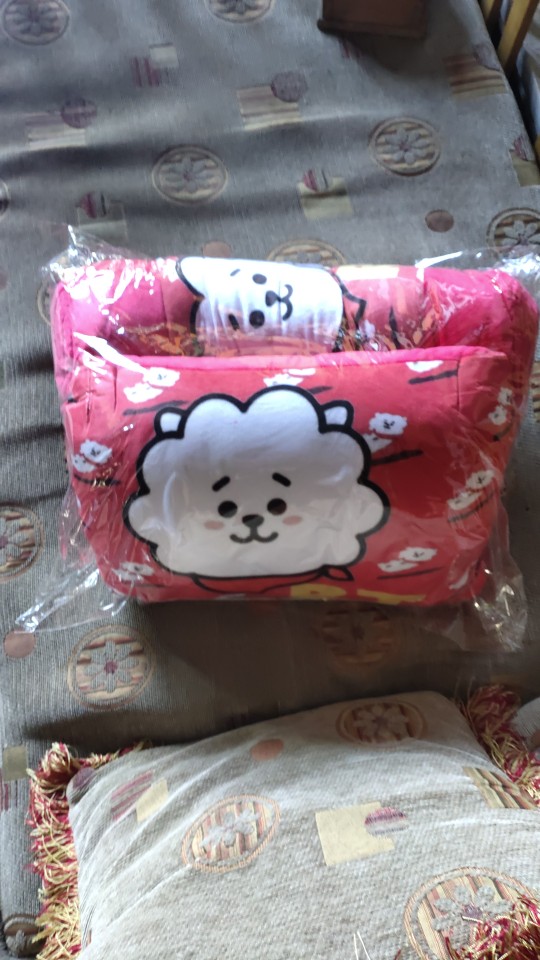 Paket Bantal Guling Rj Warna Putih Unofficial Bts Bt21 Kpop