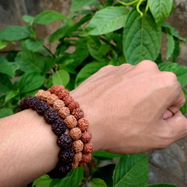 Gelang Genitri / Gelang Rudraksa Biji 8 mm Mukhi 5