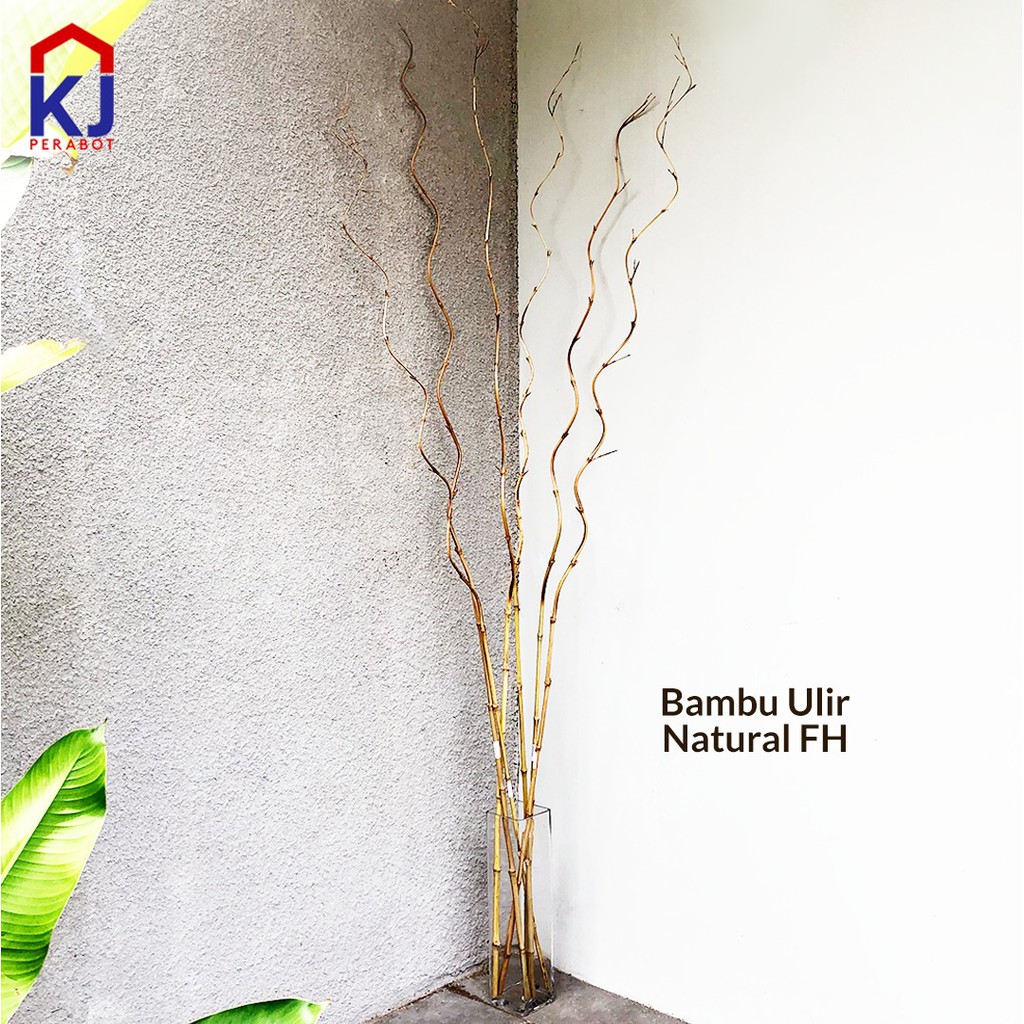 BAMBU ULIR NATURAL FH Shopee Indonesia BAMBU ULIR NATURAL FH Shopee Indonesia
