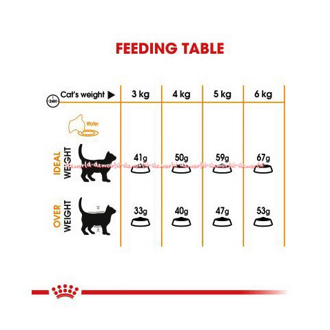 Royal Canin Hair and Skin Cat Food Makanan Kucing  400gram