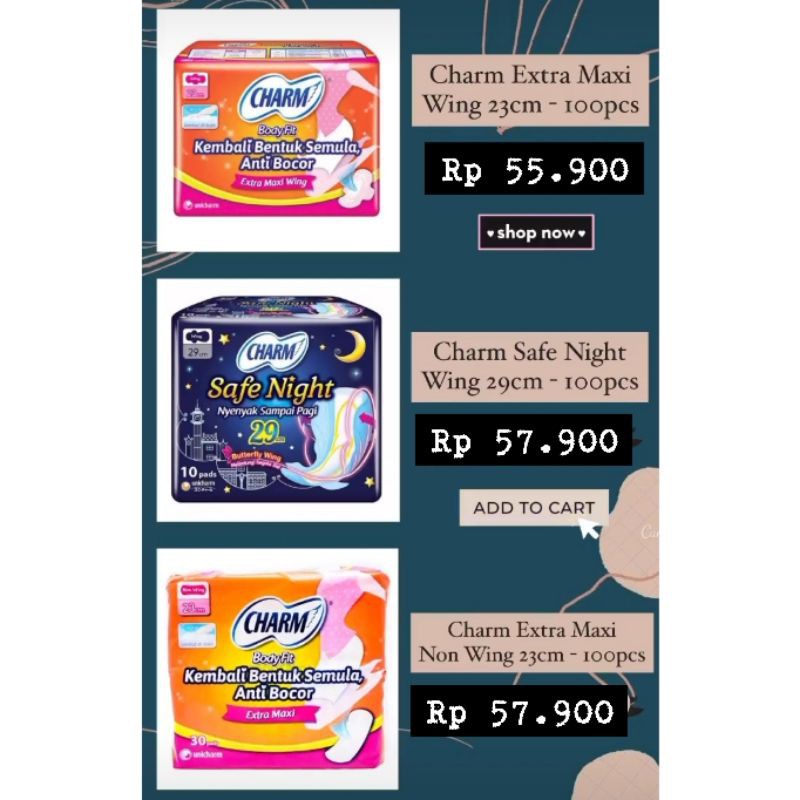 CHARM SAFE NIGHT 29CM