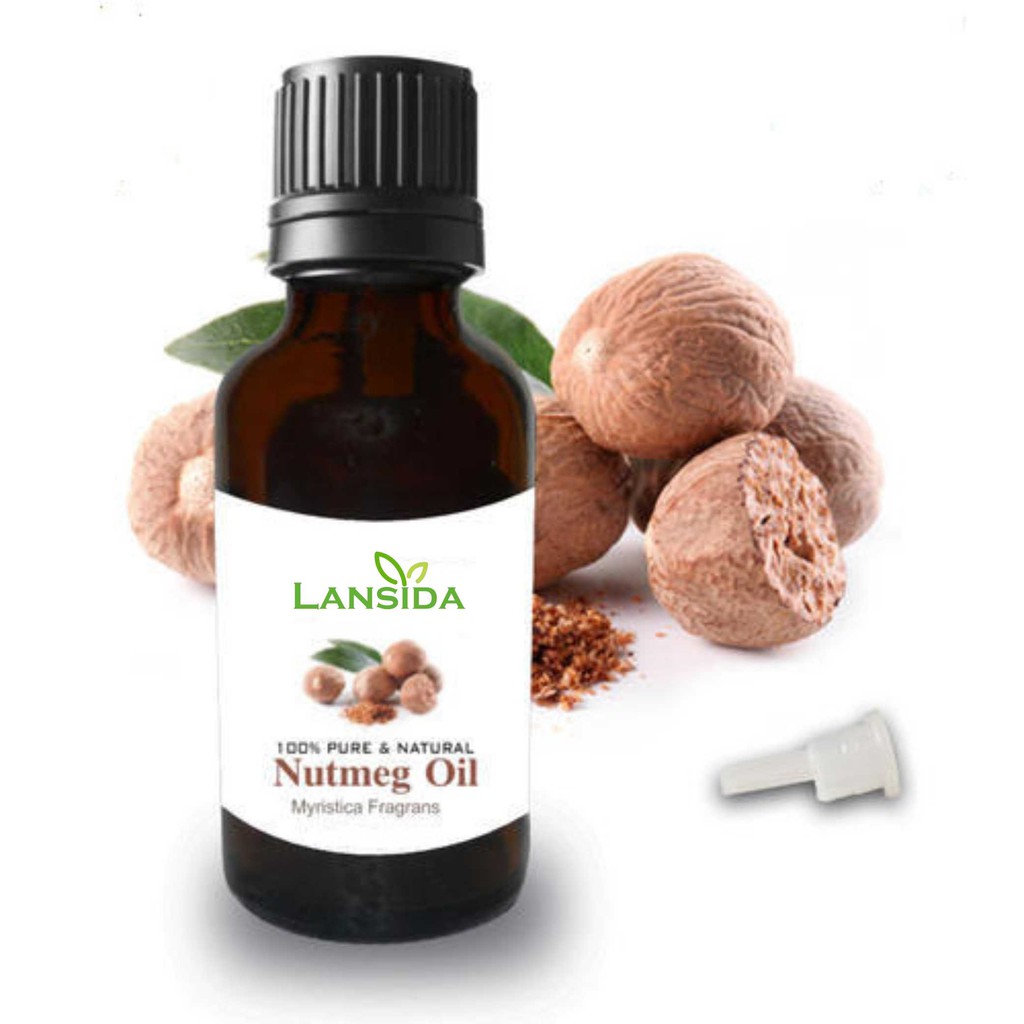 Nutmeg Essential Oil Minyak Atsiri Biji Pala | Polo