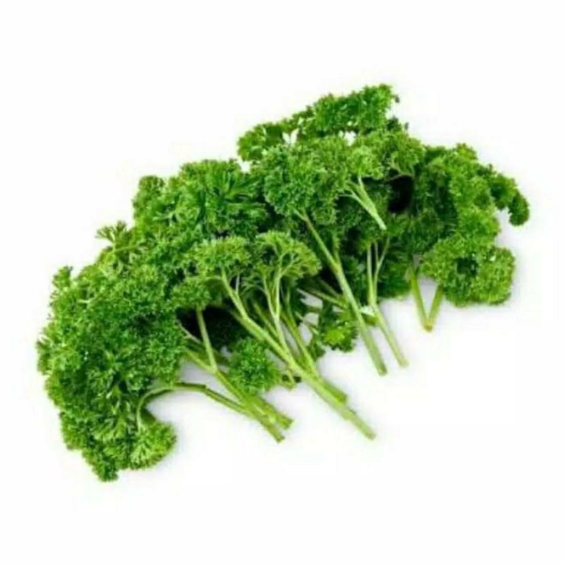 Daun Parsley Segar / Daun Petersely Segar