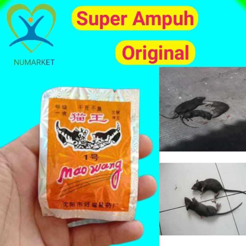 RACUN TIKUS AMPUH MATI DI TEMPAT ORIGINAL ASLI