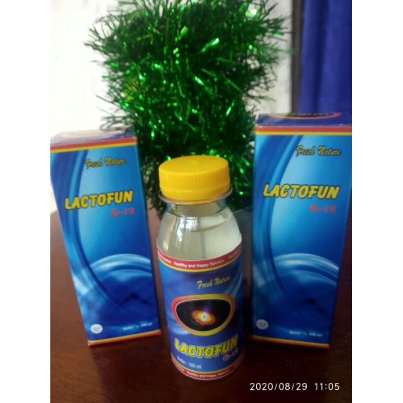 Detok Lactofun G12 Probiotik Utk Kesehatan