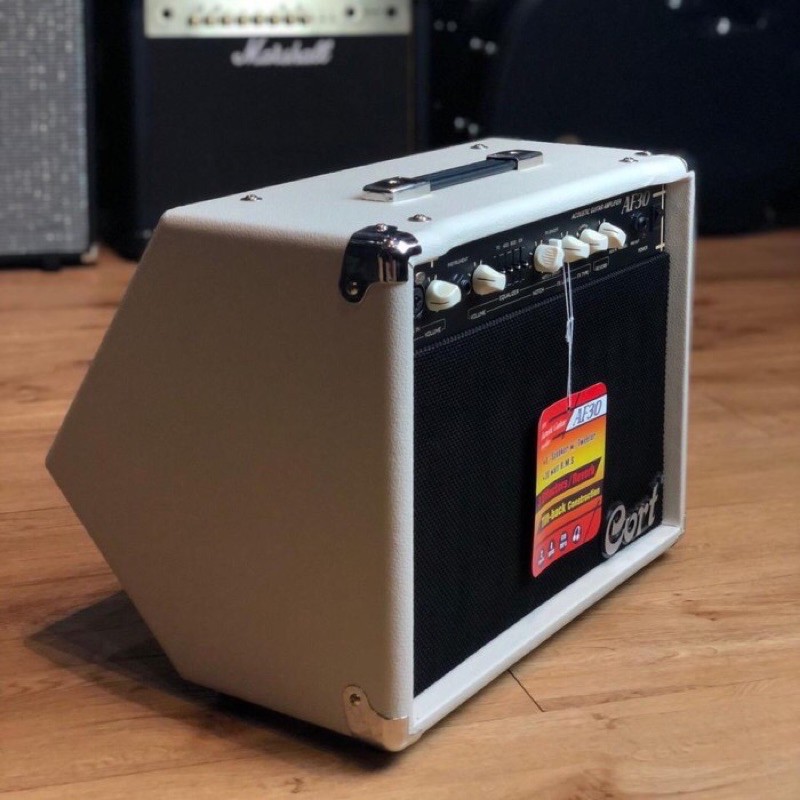 Ampli Gitar Akustik Cort AF30