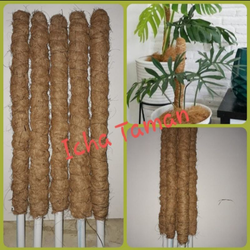 Turus Penyangga Tanaman Rambat 50 Cm / Turus Serabut Kelapa
