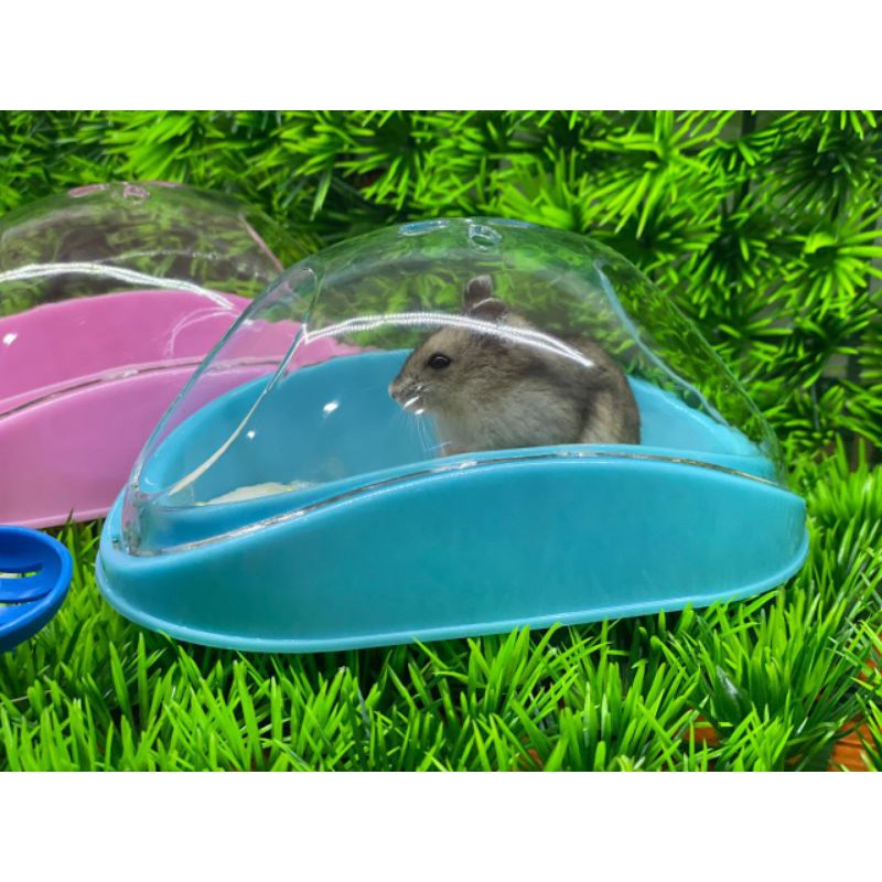 Hamster Bath House pluss sekop sweet Spa potty Tempat mandi Hamster