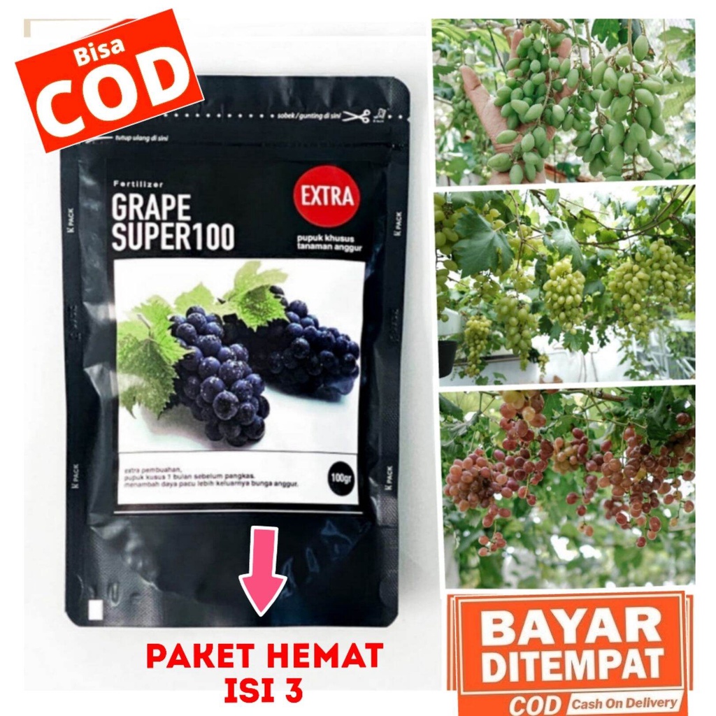PUPUK ANGGUR GRAPE SUPER100 EXTRA UNTUK PEMBUAHAN, PUPUK PEMBUAHAN ANGGUR, PUPUK ANGGUR AGAR CEPAT B