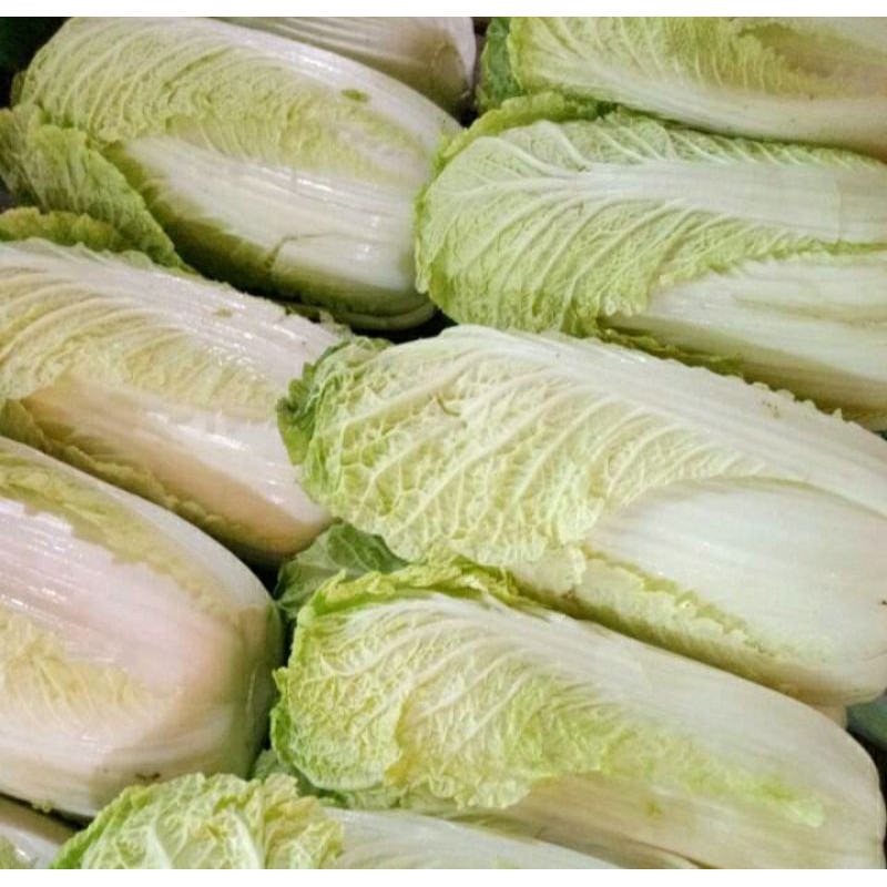

sawi putih sayur sayuran segar