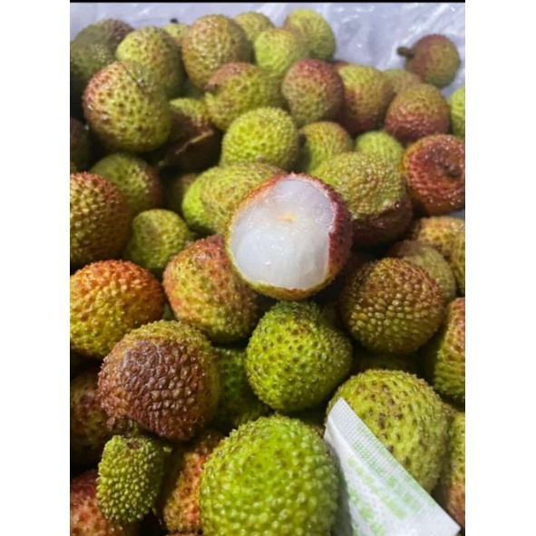 

Lechy Madu Hijau