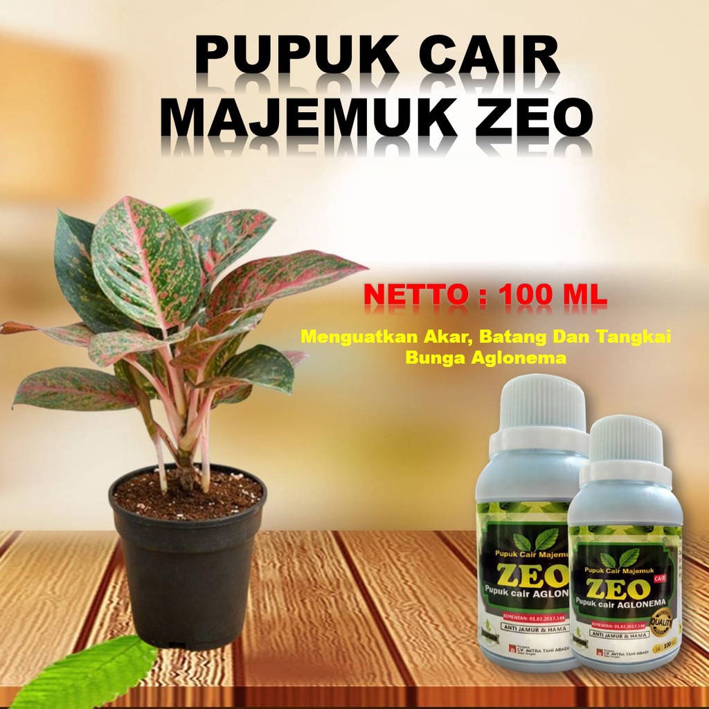 pupuk aglonema tanaman hias , pupuk aglonema yang terbaik