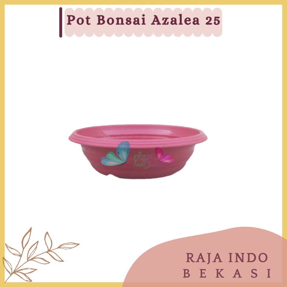 Pot Bonsai Azalea 25 Cm Putih Hitam Biru Merah Bata Pot Bonsai Tawon Ceper Plastik Utk Bonsai Kelapa