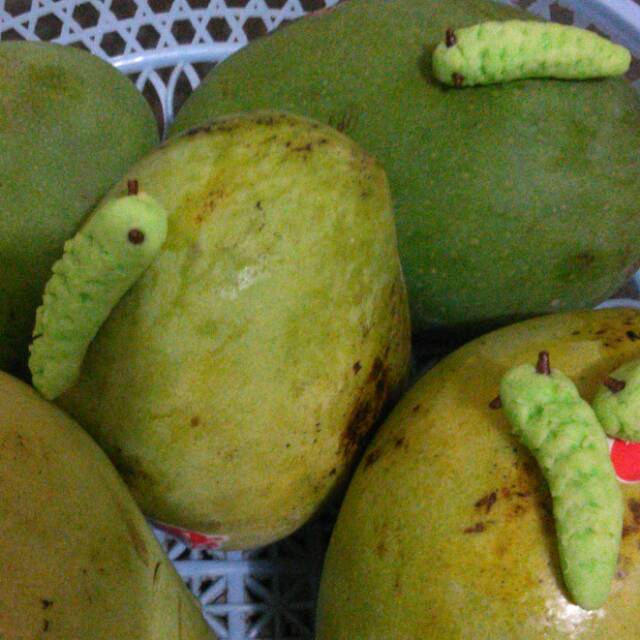 syareefaandaraqanita