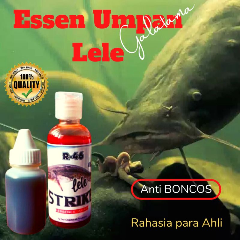 Essen Mancing Lele galatama galapung esen umpan babon indukan r46