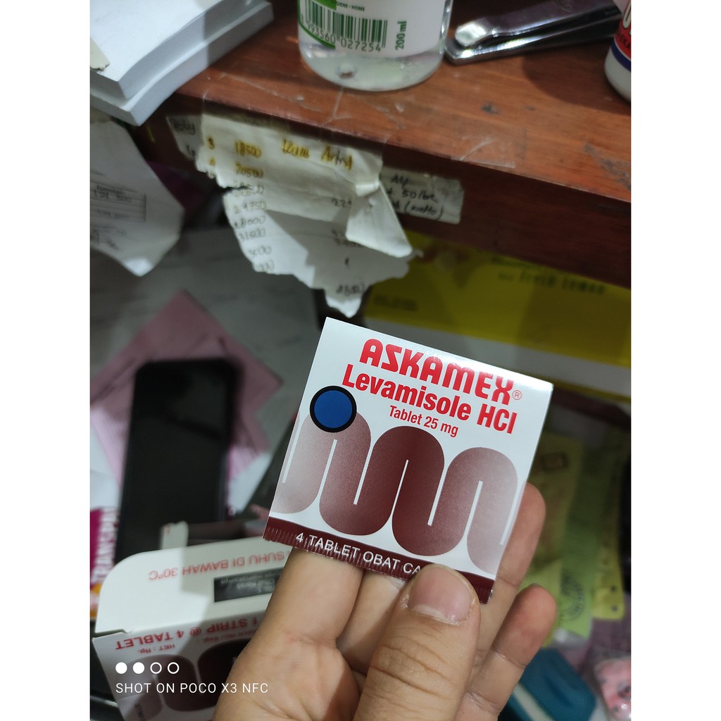 

obat penghilang cacing di kaca cacing protein atau planaria askamex