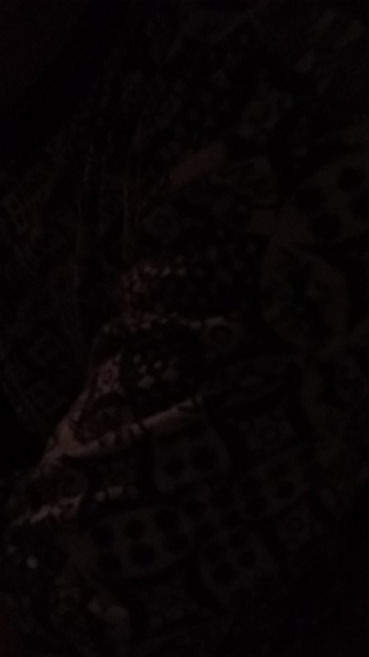 Kemeja Kantor Lengan Panjang | Batik Pekalongan