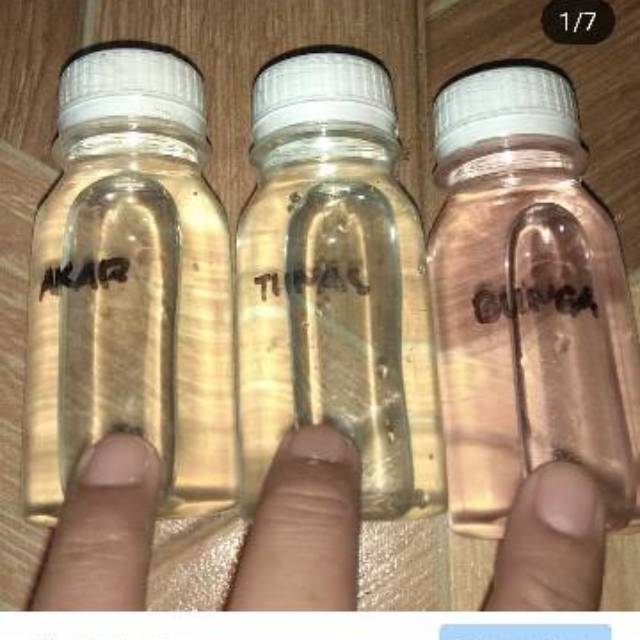 Hormon Bunga/Tunas/Akar Untuk Anggrek