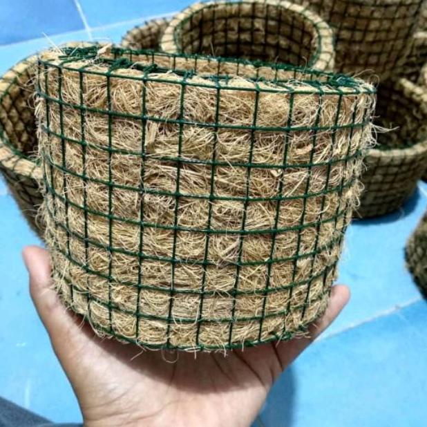 POT TEMPEL POT ANGGREK MEDIA TANAM