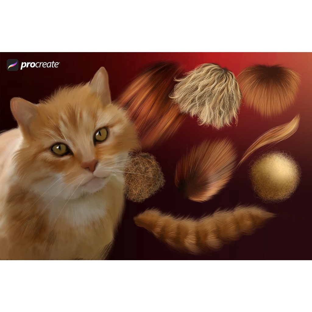 Procreate Brush - Animal Fur Procreate Brushes