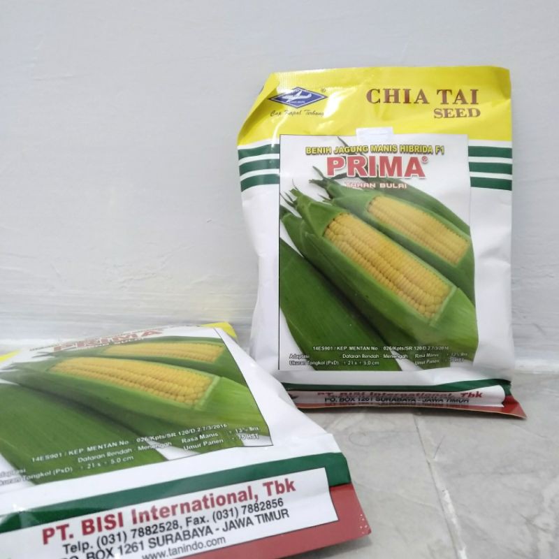 Benih Jagung Manis Hibrida PRIMA Klobot Hijau BISI Cap Kapal Terbang