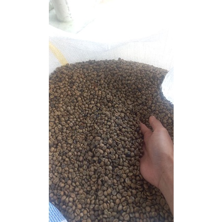 

kopi lampung biji 500gr