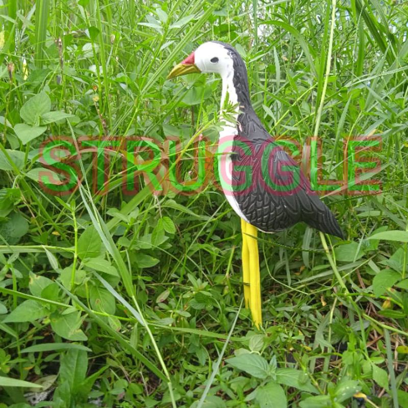 STRUGGLE Jontrot Pemikat Burung Ruak-Ruak patung Boneka kareo wakwakk/