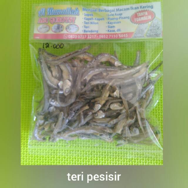

ikan teri