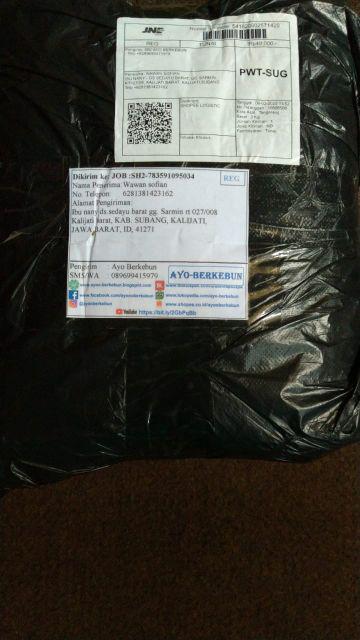 Plastik Polibag / Plastik Polybag Hitam 500 Gram / Plastik Polibag 10 - 15 - 20 - 25 - 30 - 35 - 40