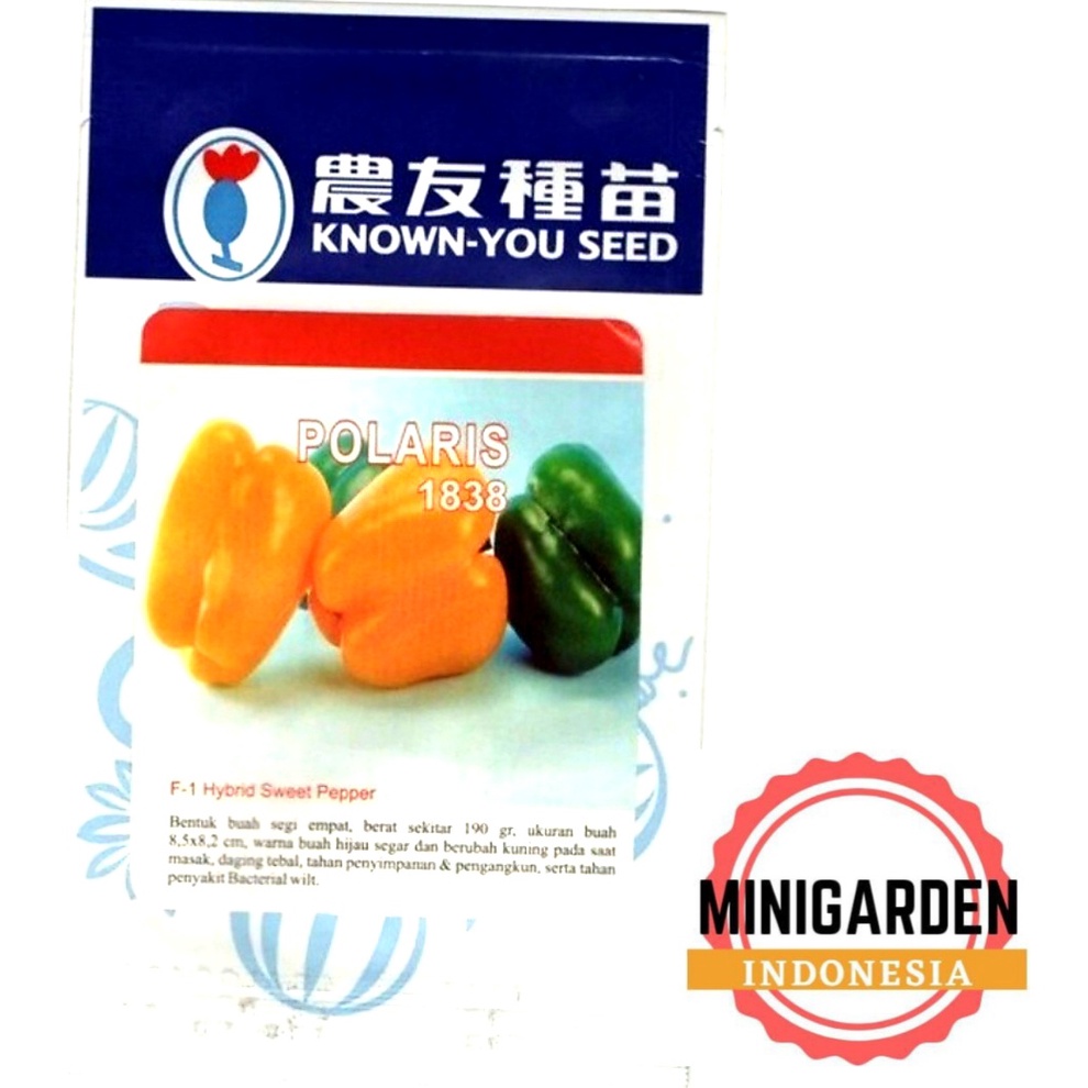 PAPRIKA POLARIS 10 GRAM PACK BESAR biji benih Paprika Kuning F1 hibrida cabai sweet pepper known you seed