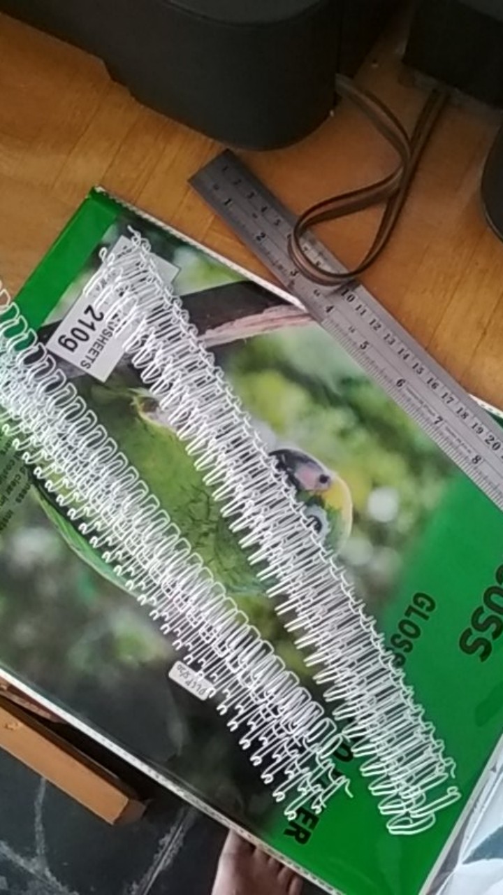 Spiral Kawat A4 1/2 3:1 No.8 / Ring Kawat / Twin Ring 34 Loops Hombo (4 Pcs)