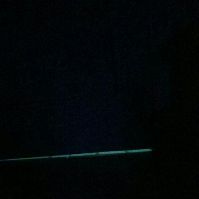 C5 Bunga Alganos/bunga Plastik/bunga Gantung/bunga Sintetis/bunga Hiasan/bunga Dekorasi/paket Bunga