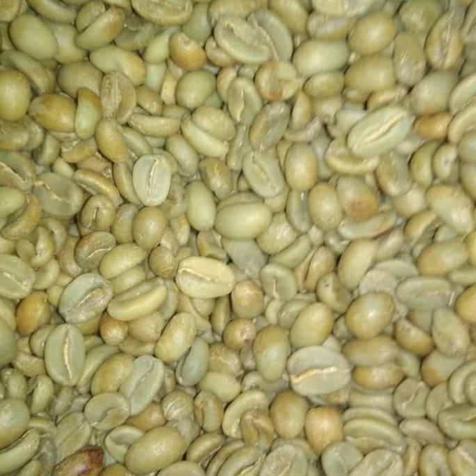 

greenbean gunung tilu yellow honey