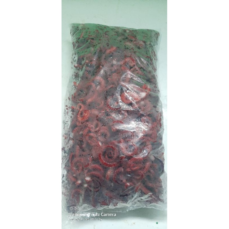 

Kaki gurita super