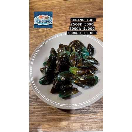 

KERANG IJO SEAFRESH