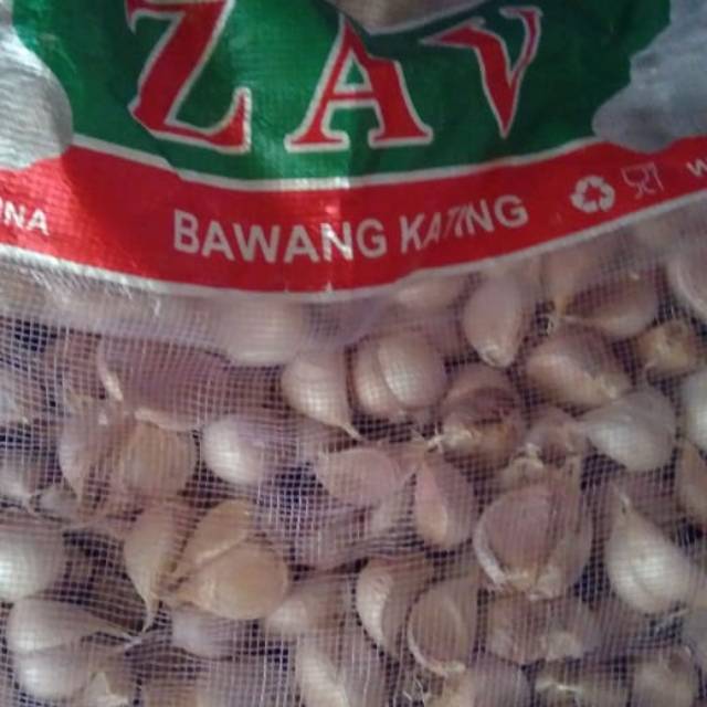 

Bawang puting kating