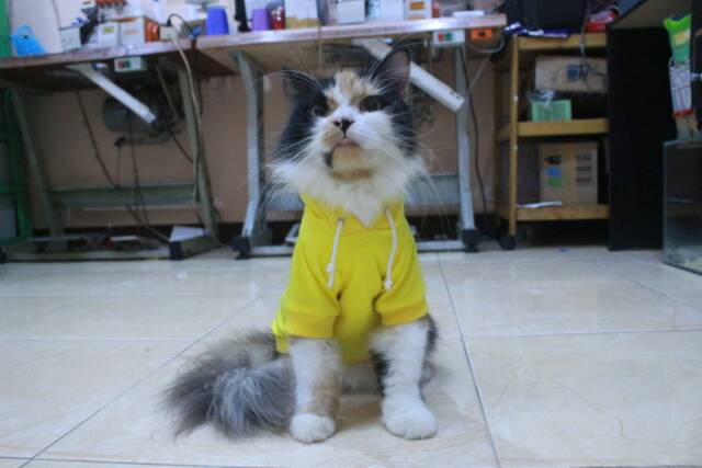 Kaos hoodie kuning lucu untuk kucing dan anjing / baju kucing murah size S M L XL