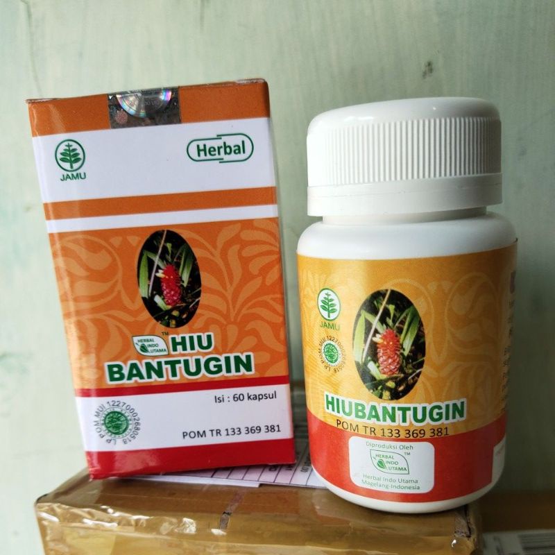 

Hiu Bantugin Herbal Penghancur Batu Ginjal/Kantung Kemih, Batu Empedu, Nyeri Pinggang Herbal Indo