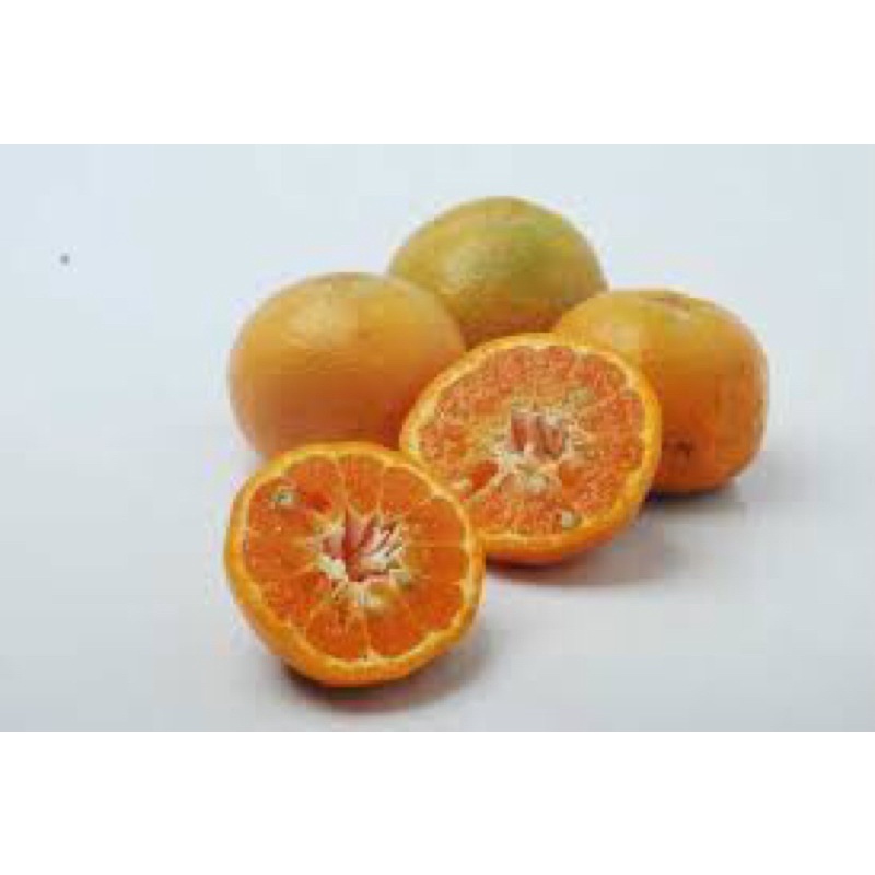 

Jeruk Madu Manis Fresh (Buah Segar)