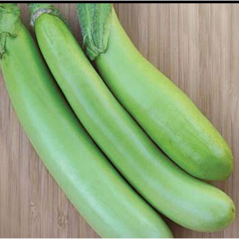 

TERONG HIJAU 500g