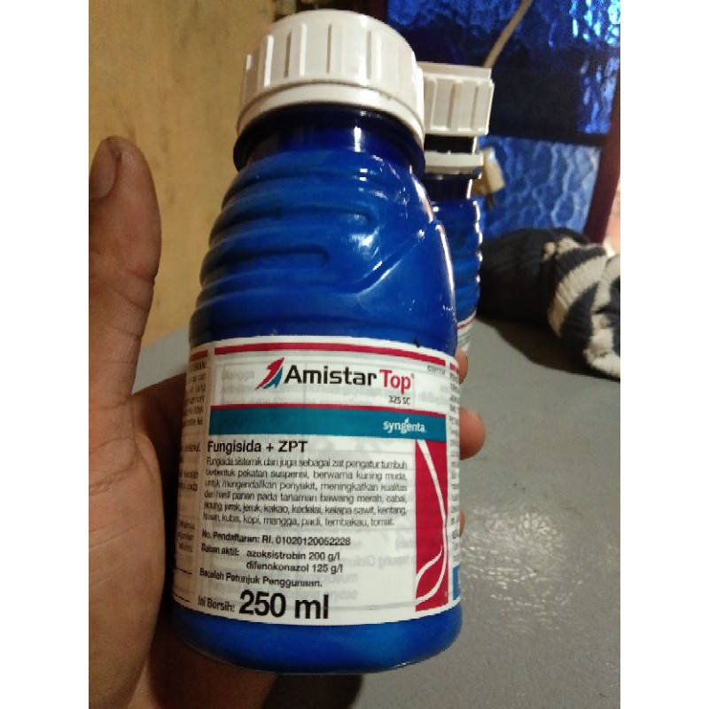 Amistartop Fungisida