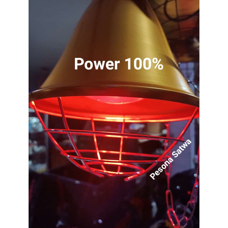 Fitting Lampu Pemanas Infra Merah -Lamp Protector-