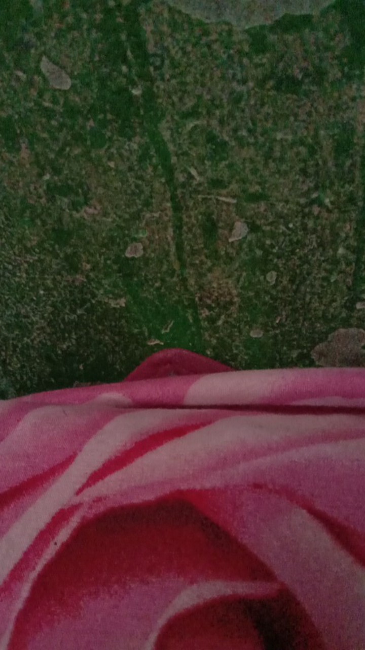 Speedy Cooper Mini , Blander Bumbu Manual