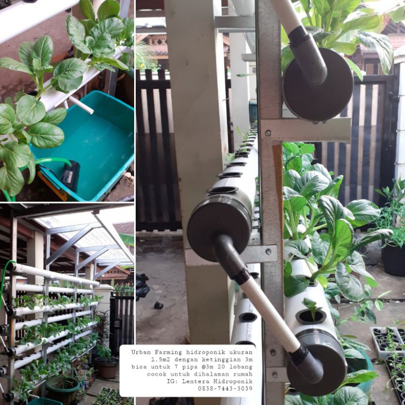 Tutup pipa hidroponik 3 inch set knee 1/2 inch atau 3/4 inch