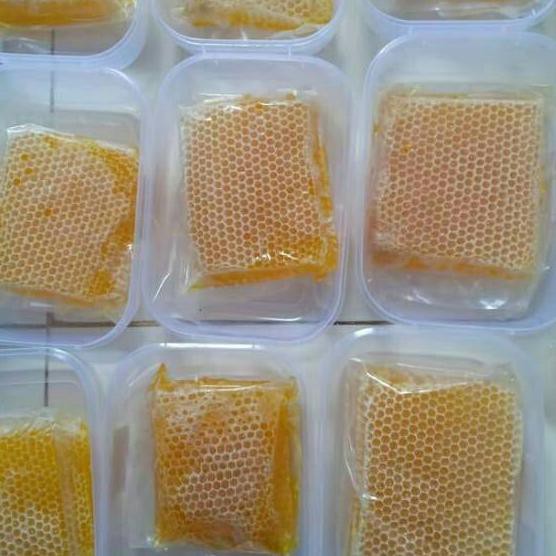 

Siap Kirim - Madu asli sarang melifera apis..murni 250 gr/madu sarang/sarang madu asli melifera