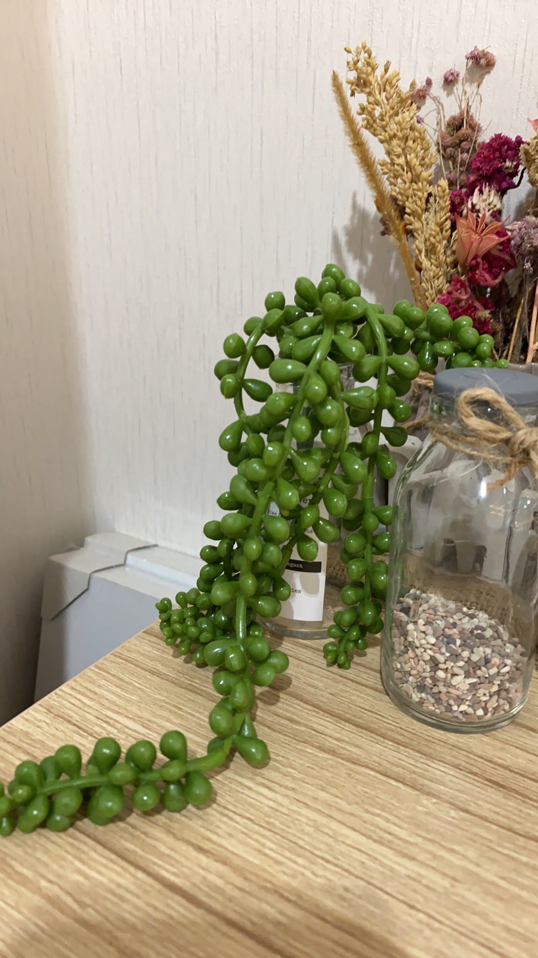 Artificial Cactus/suculent//cactus Mini/kaktus Plastik/purpule Lotus