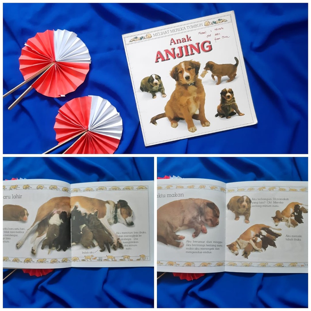Anak Anjing Melihat Mereka Tumbuh Buku anak bekas second preloved
