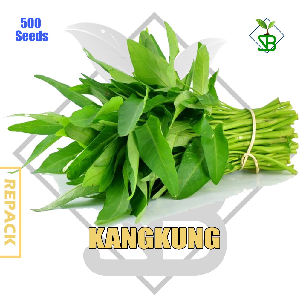 500 seeds - benih kangkung super (repack)