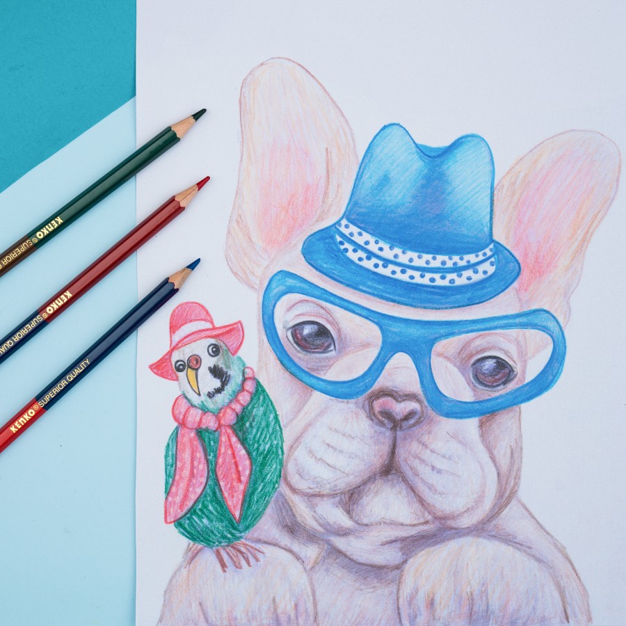 IDOLMART Pensil warna kenko 12 warna Bicolor Cp -12-2