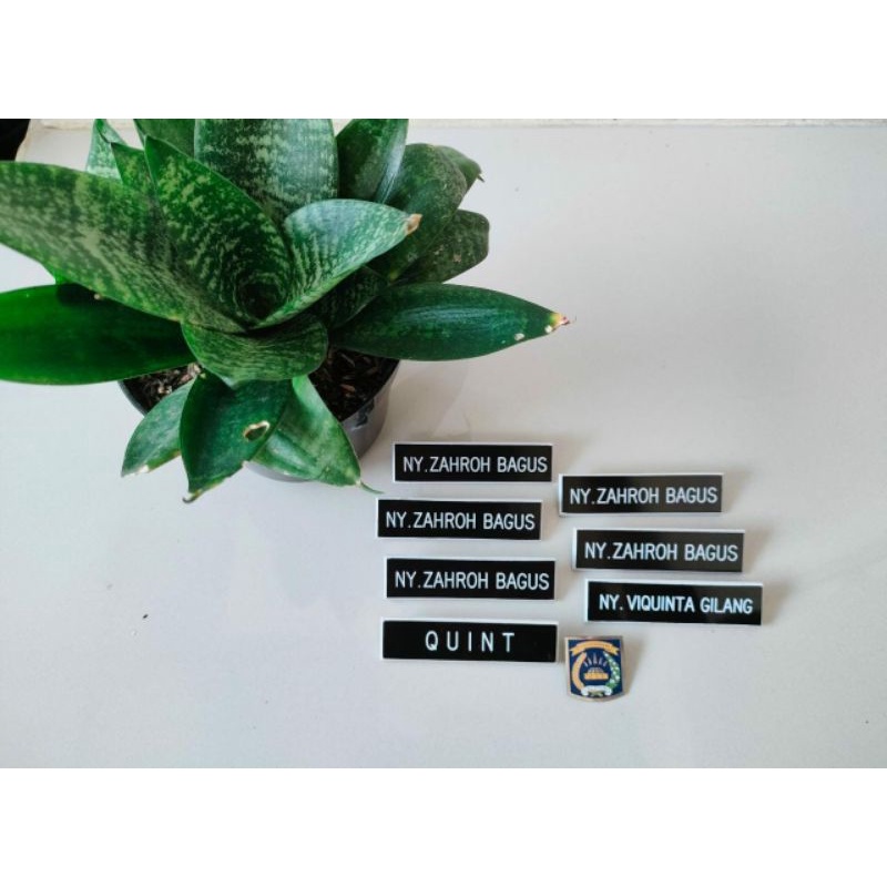 

NAME TAG
